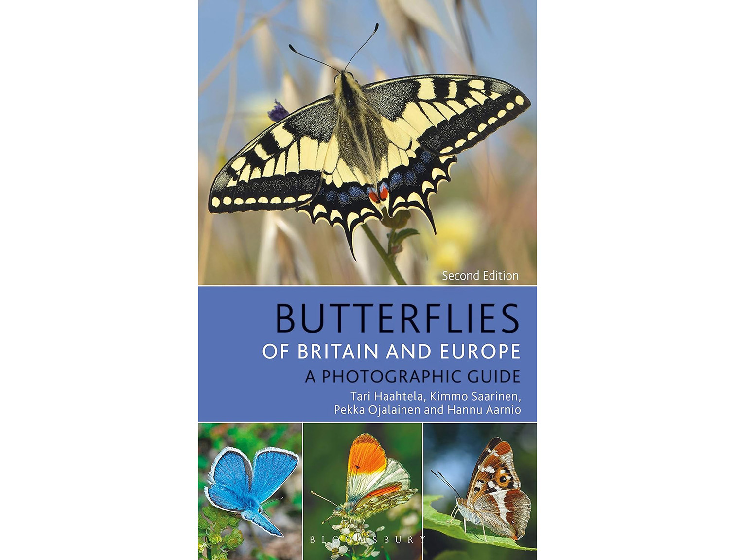 butterflies of britain and europe